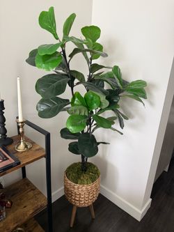 Artificial Fig Tre