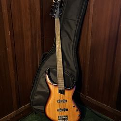 MTD Kingston Saratoga Bass & gig bag