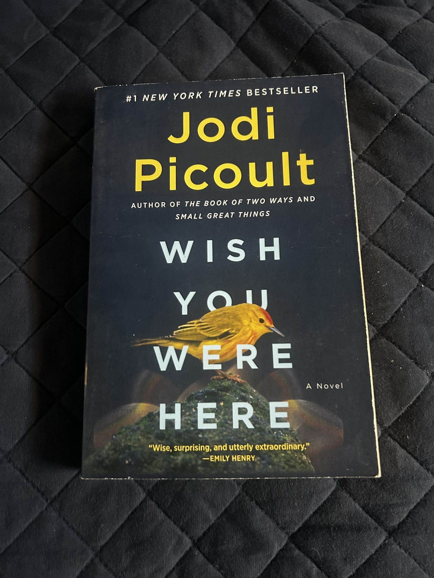 Wish You We’re Here By Jodi Picoult
