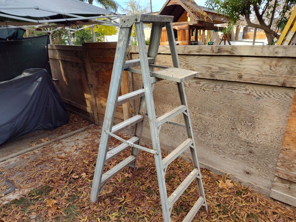 Heavy Duty 6 Foot Step Ladder