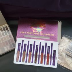 New 2 Eye Pallets Exact Same And Lippie And Brush 
