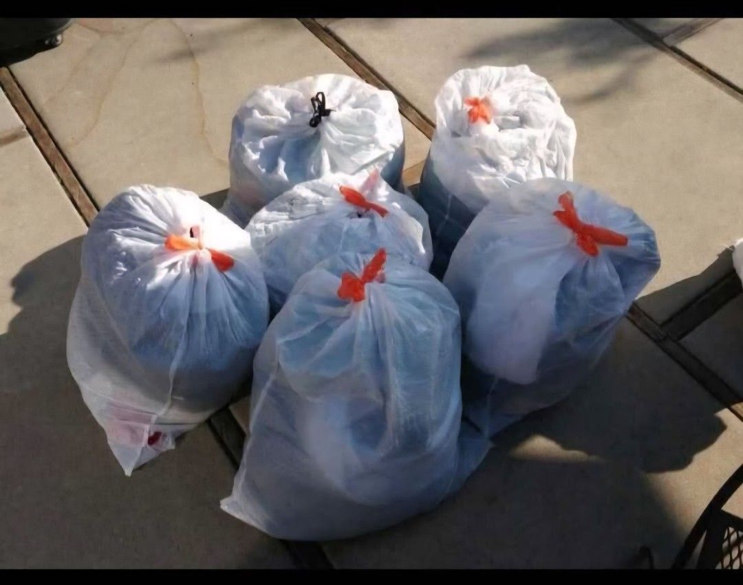 Women's Clothing For Trade