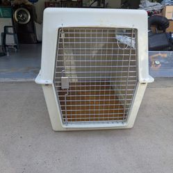 Dog Kennel