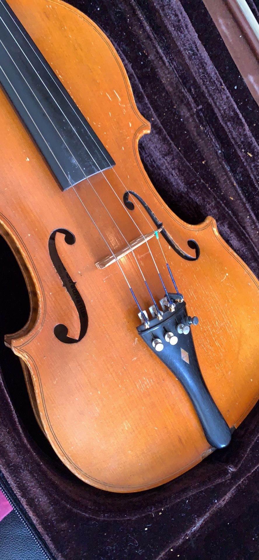 violin leuis