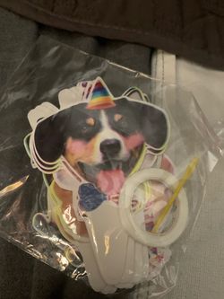 Dog Party accessories