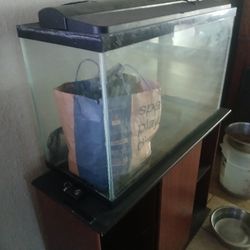 Aquarium