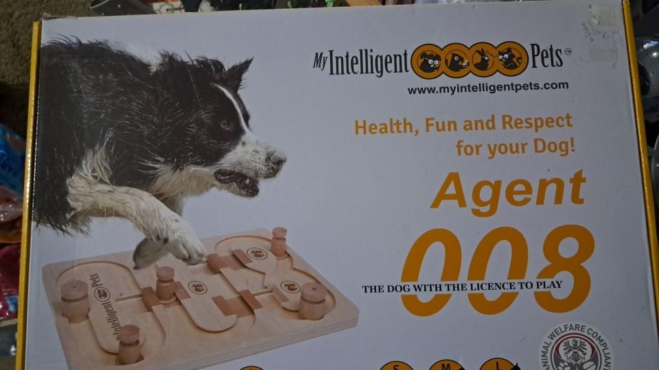 New Dog Puzzle To Get To Treat Agent 008