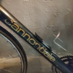 Canondale Bike 