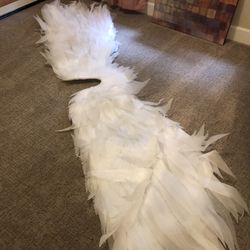 Huge Bird Wings