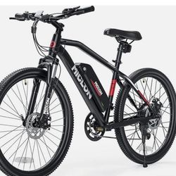 Miclon E-bike 