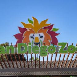 San Diego Zoo/San Diego Zoo Safari Park Tickets