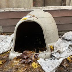 Dog House - Igloo