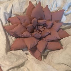 Handmade Decorative Succulent Pillow