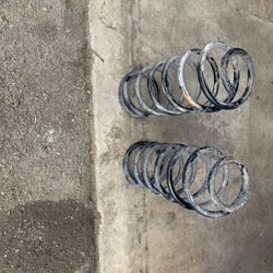 Suspension Sorings