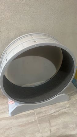 Rueda de ejercicio para gatos