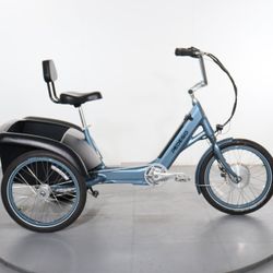 2018 Pedego Trike