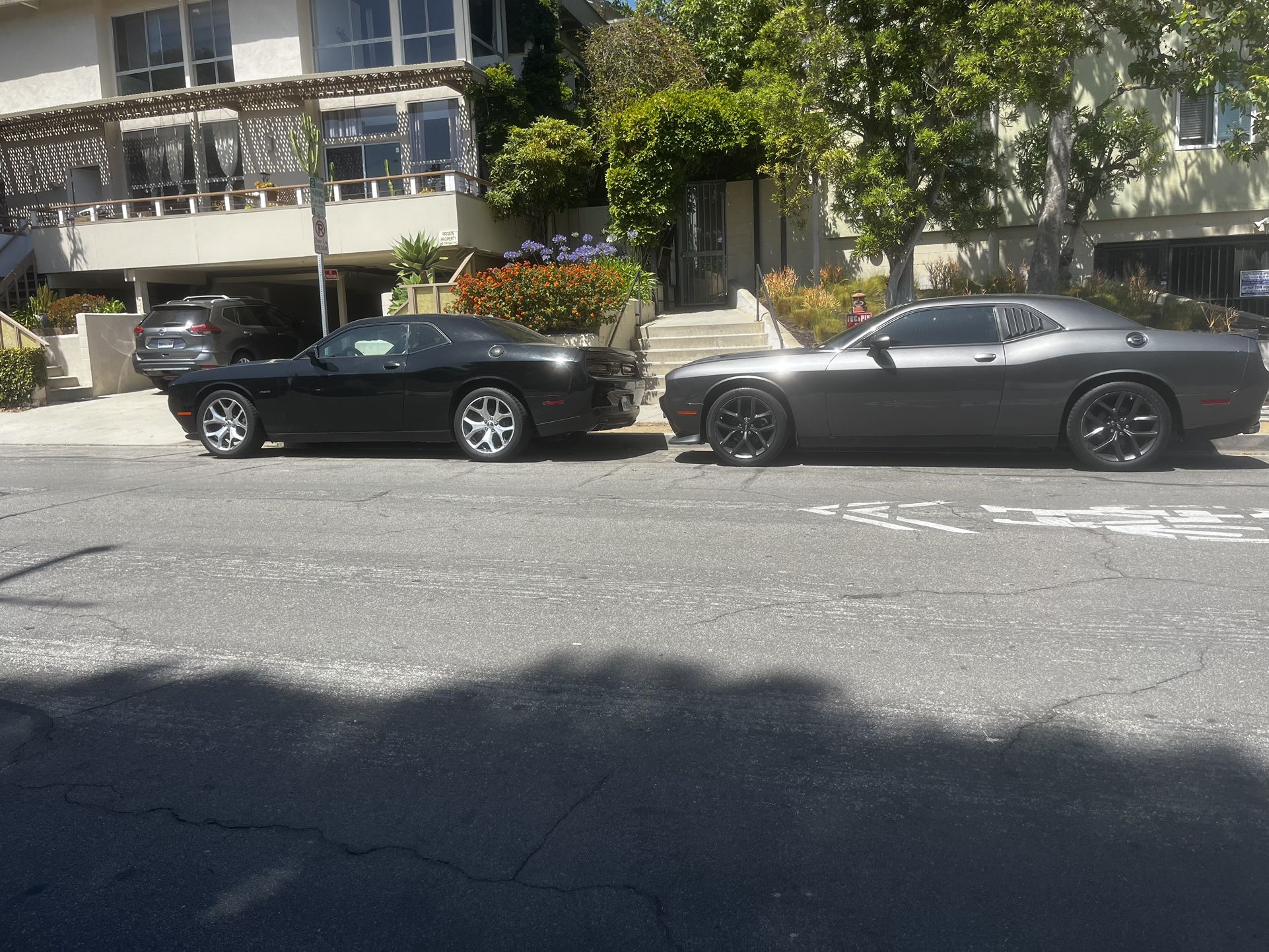Challenger 2019 V6 & 2015 V8
