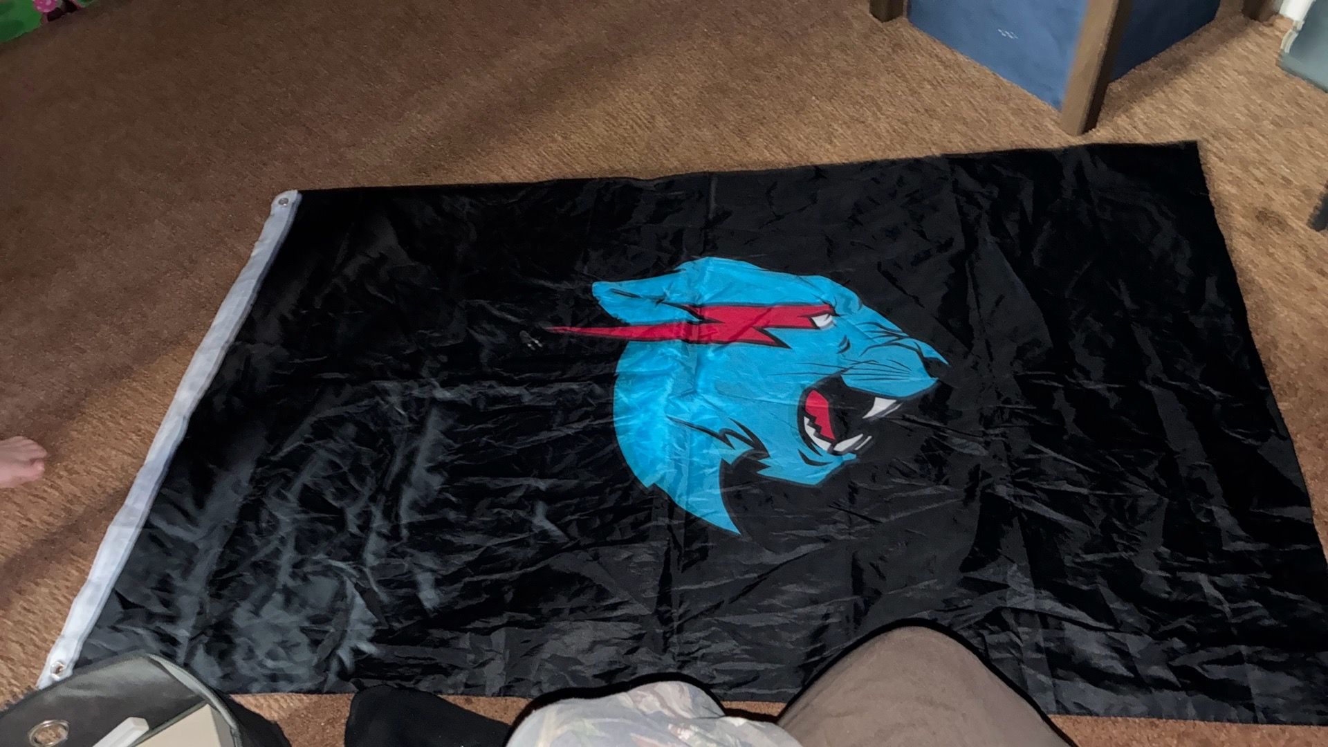 Mr Beast OG Flag