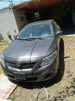 COROLLA