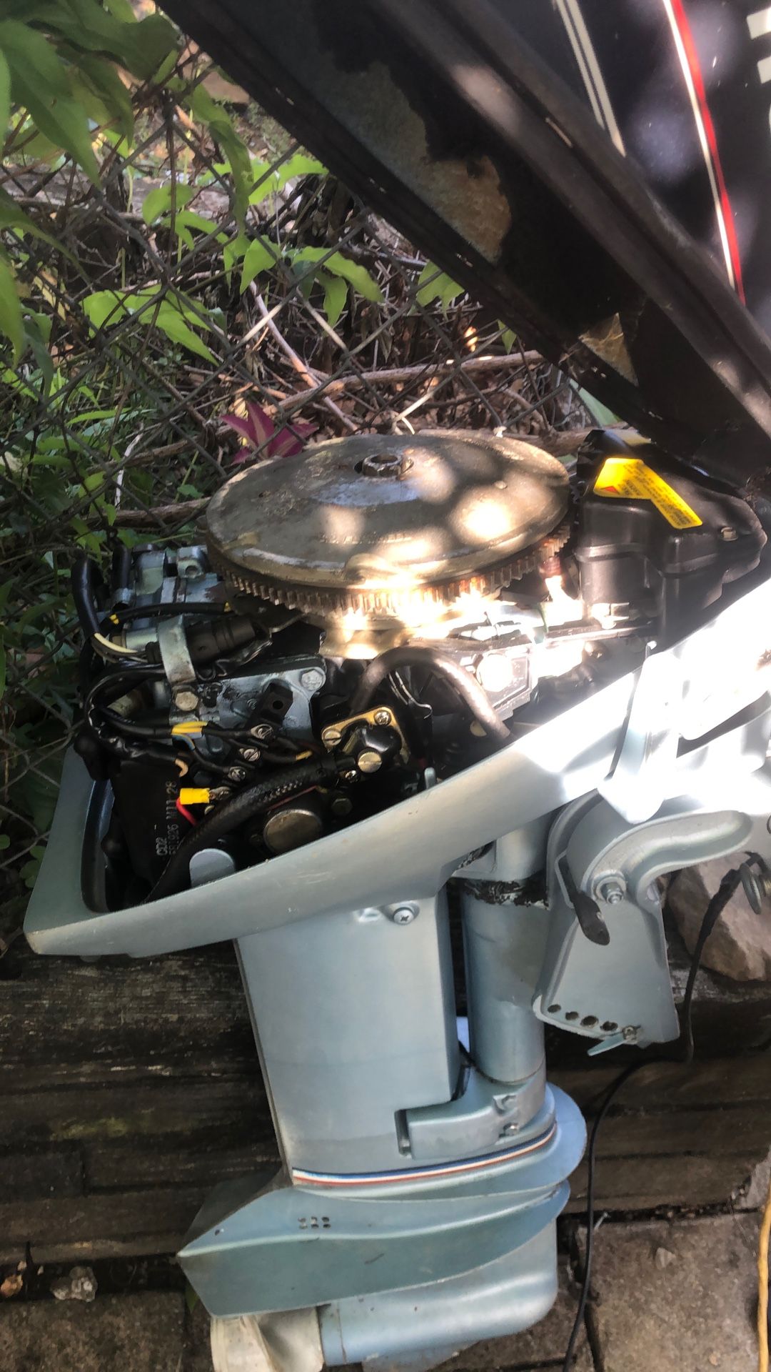 Evinrude 15hp