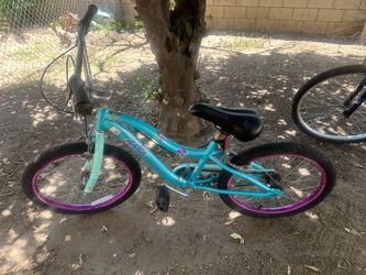 Shwinn 20in bike