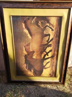 Picture horse portrait frame