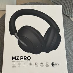 Astrum MZ pro headsets