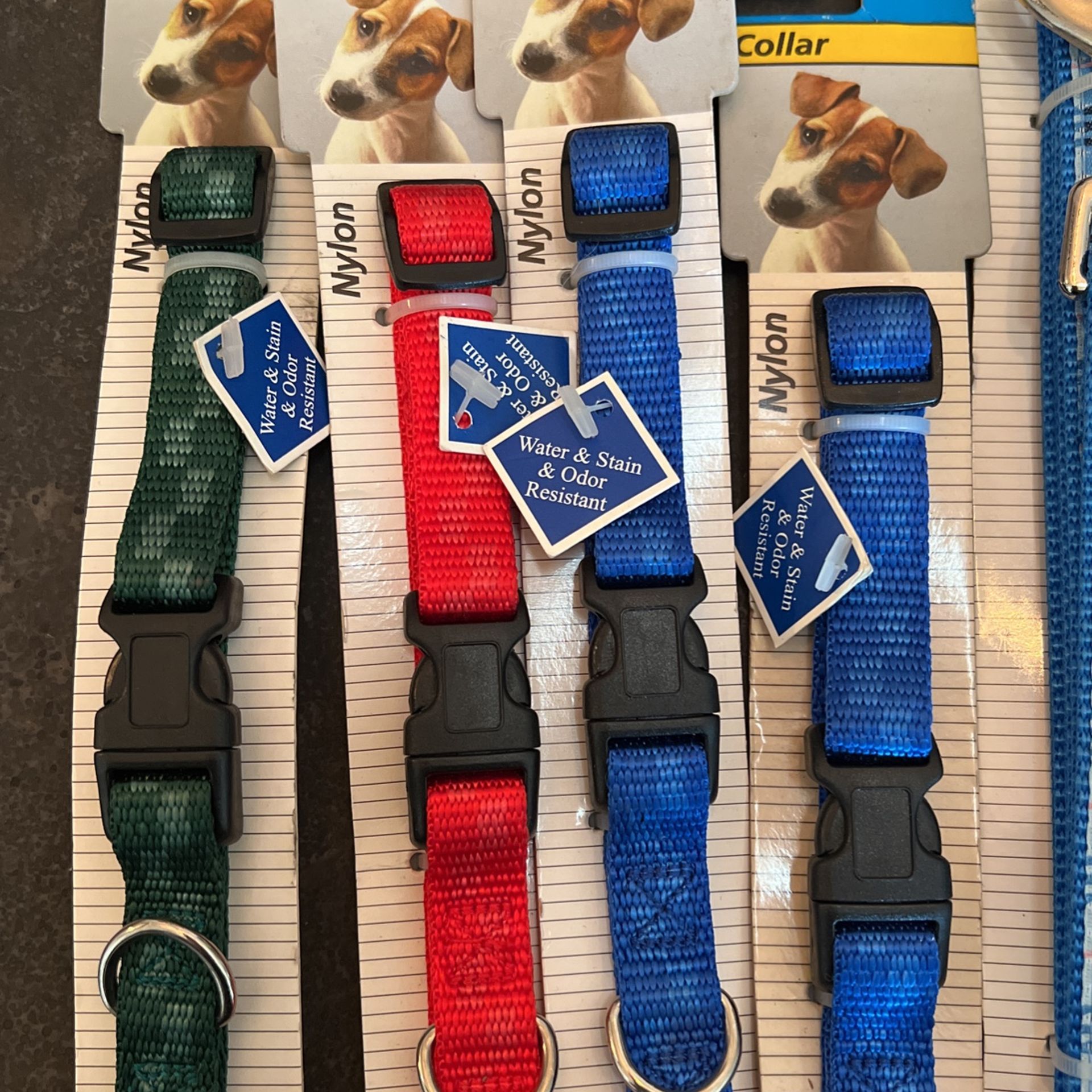 BRAND NEW Dog Collar/Collars And Leashes