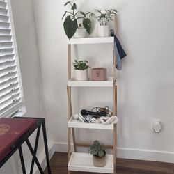 Ladder Shelf
