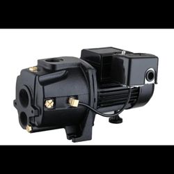 LEO 3/4 HP 115/230-Volt Cast Iron Convertible Jet Pump CJE075