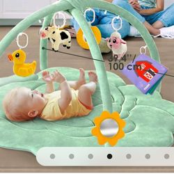 Baby Play Gym and Activity Mat