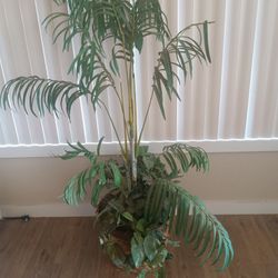 Artificial Plant,Large Size 