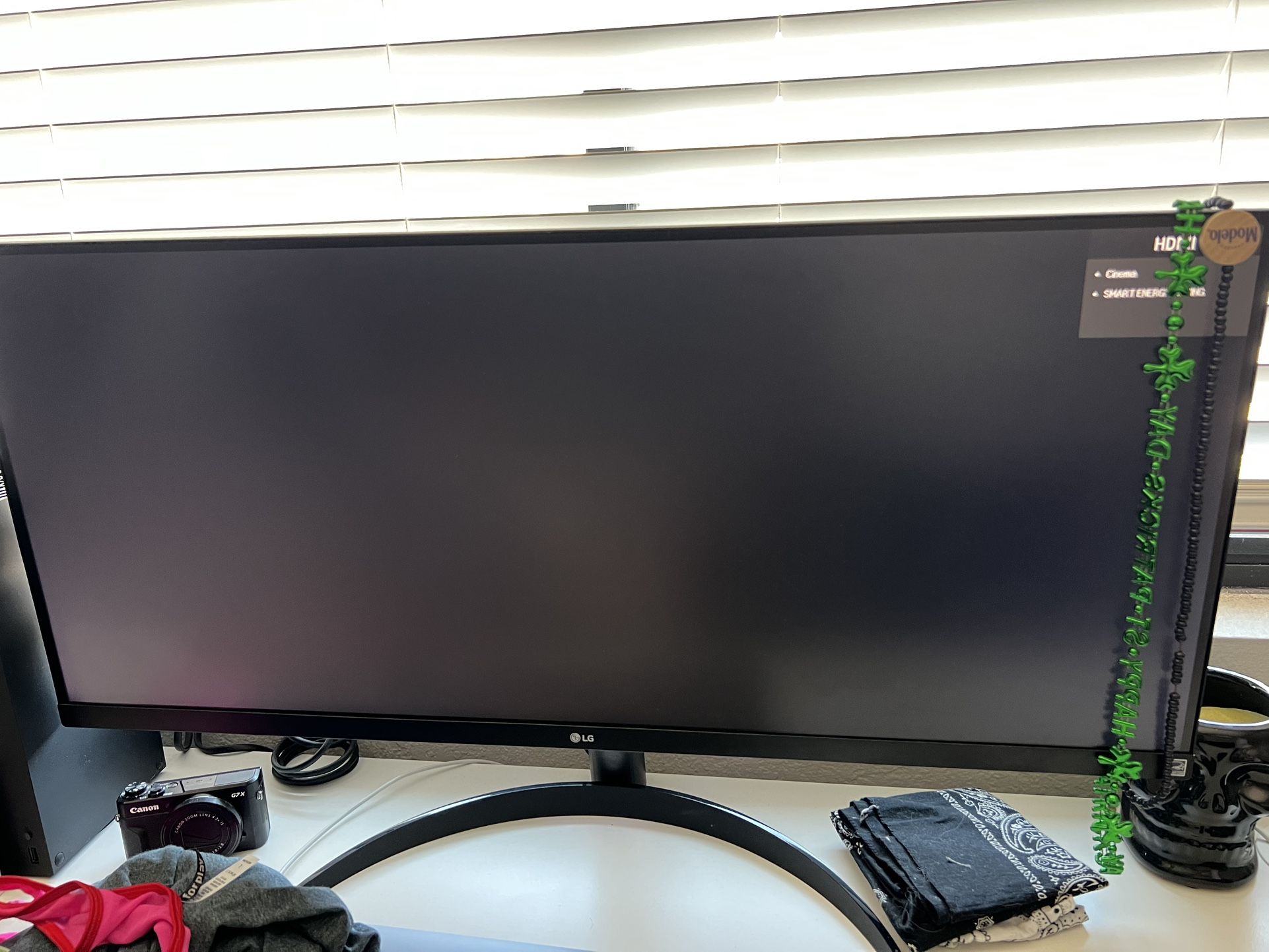 LG 34” Monitor
