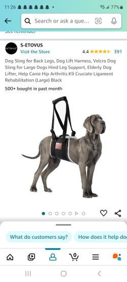 Dog Sling