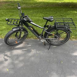 RAD ROVER 6 Fat Tire E-Bike