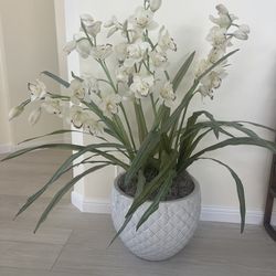 Large Silk Orchid Plant In Beautiful Planter. Orchids are Stunning 