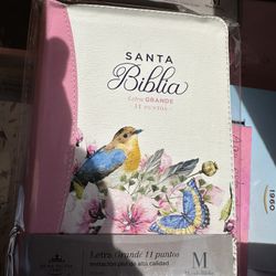 Biblias Letra Grande Grande Nuevas