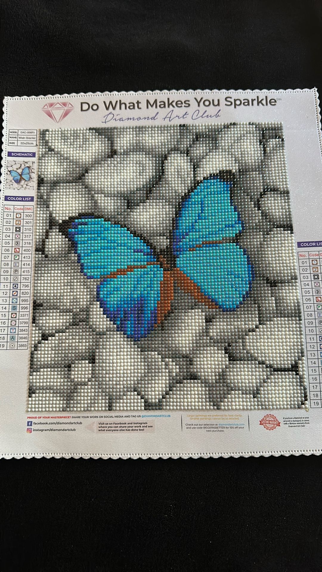 Blue Butterfly On Stones