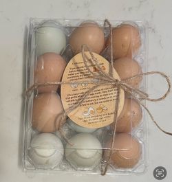Freshly Laid Eggs