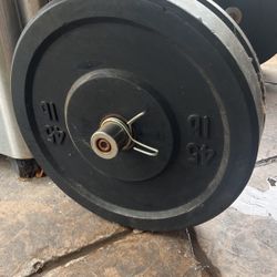 45 Pound Plate 