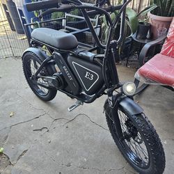 E3 Electric Bicycle 1000w 26mph