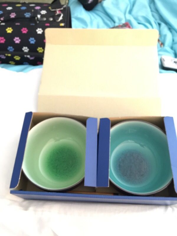 2 Japanese Ceramic Rice Bowls, new in box