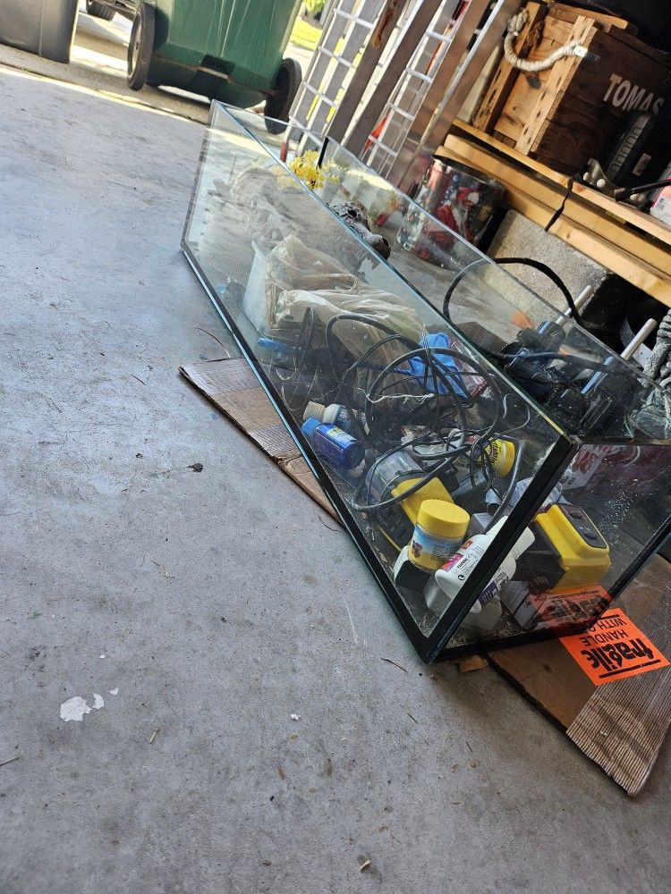 Fish Tank