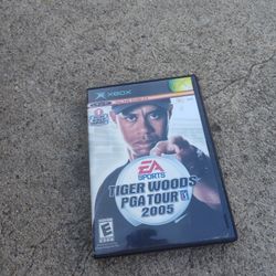 Video Game 