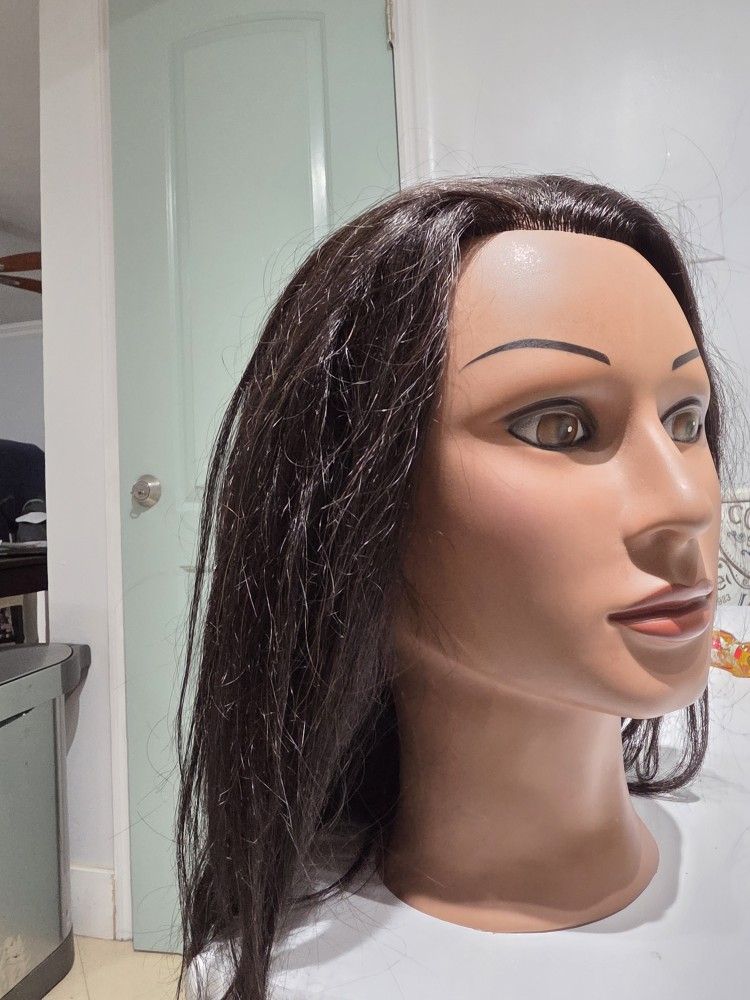 Maniqui Head For Artist .
