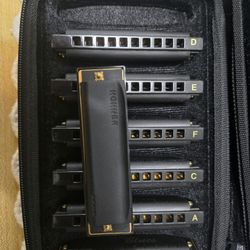 hohner harmonica set