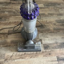 Dyson Animal
