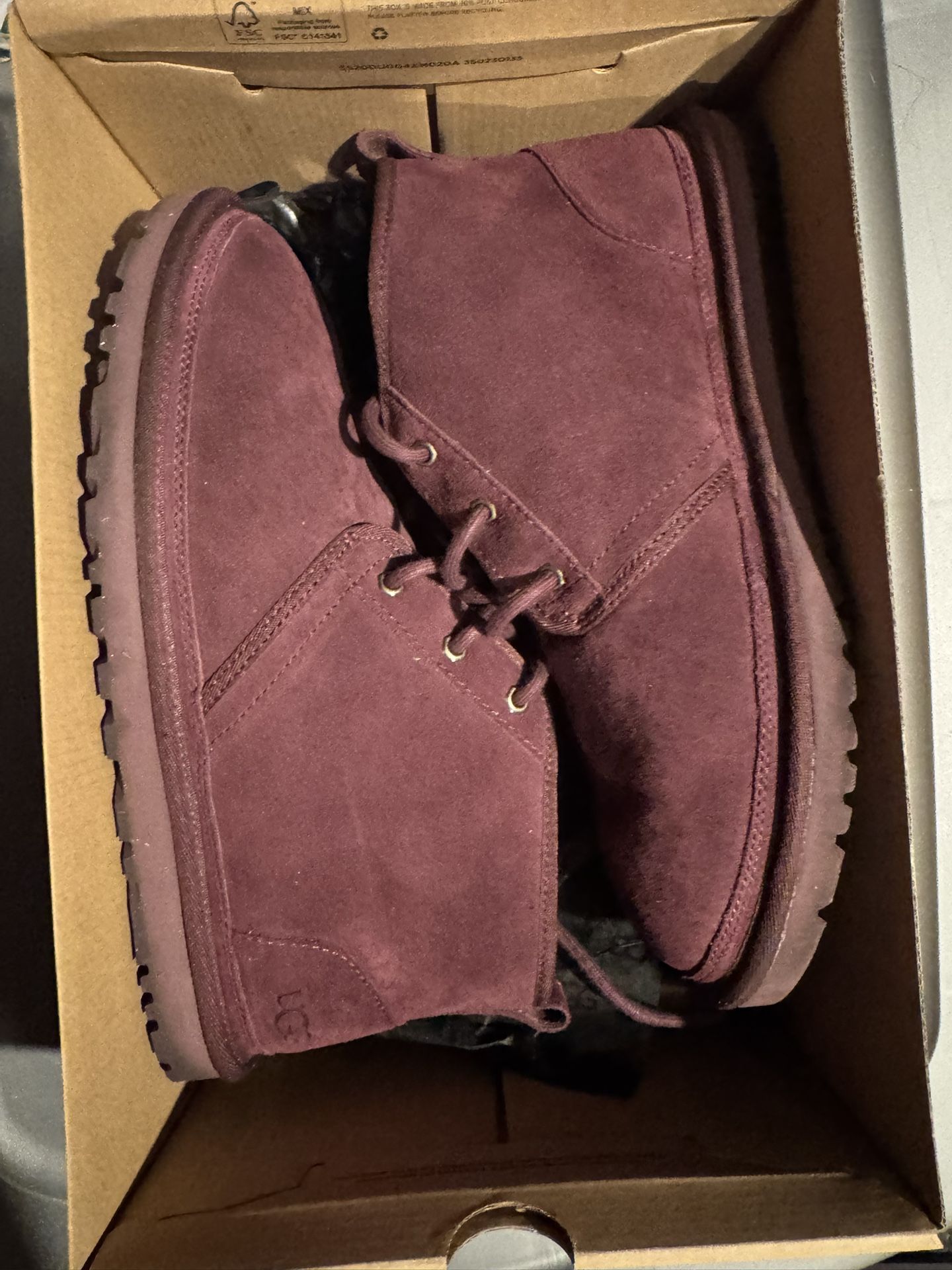 Uggs men 