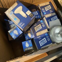 Led Light Bulb Elite 