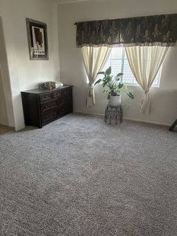 Carpet 